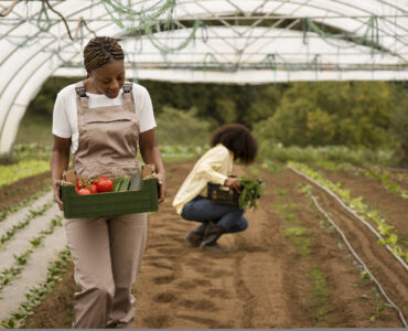 full-shot-women-farming-together