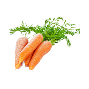 Fresh Carrots