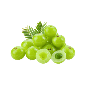 Fresh Organic